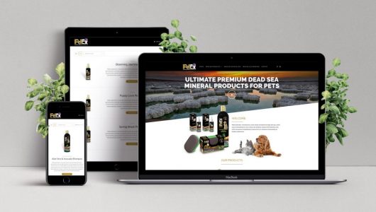 PetExDS_website-1024x576